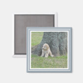 Fügen Sie Ihr Foto dem modernen Bauernhof Blau Magnet (Vorderseite/Rückseite)