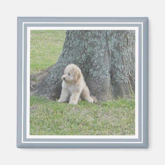 Fügen Sie Ihr Foto dem modernen Bauernhof Blau Magnet (Vorne)