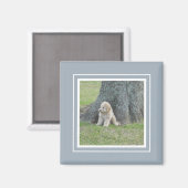 Fügen Sie Ihr Foto dem modernen Bauernhof Blau Magnet (Vorderseite/Rückseite)