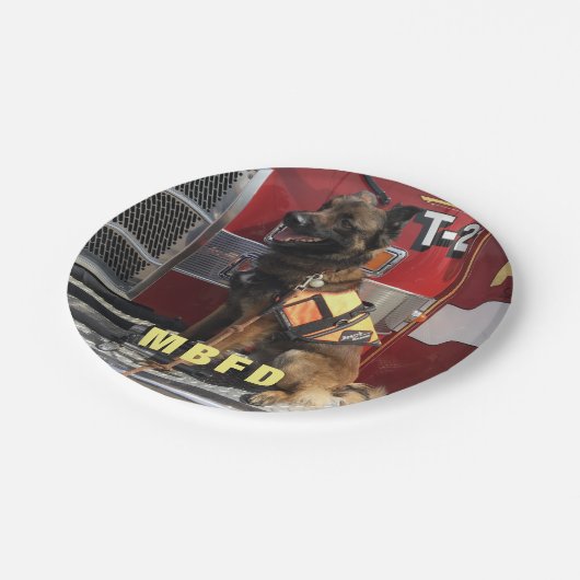 Fügen Sie Ihr Foto Fireman Feier Pappteller (Schrägansicht)