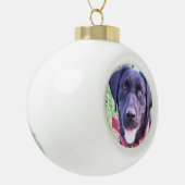 Fügen Sie Ihr Lieblingstier Foto Ornament 2020 (Links)