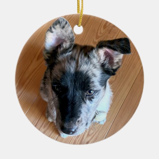 Fügen Sie Ihr Niedliches Puppy-Foto doppelseitig h Keramik Ornament (Vorne)