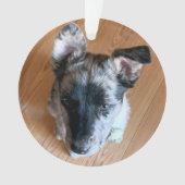 Fügen Sie Ihr Niedliches Puppy-Foto doppelseitig h Ornament (Vorderseite)