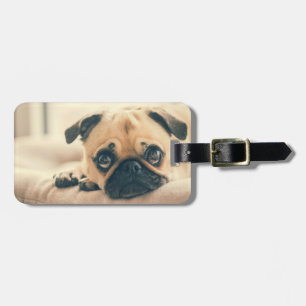 Fügen Sie Ihre eigene Hundeschlittenreise hinzu    Gepäckanhänger