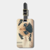 Fügen Sie Ihre eigene Hundeschlittenreise hinzu |  Gepäckanhänger (Vorderseite vertikal)