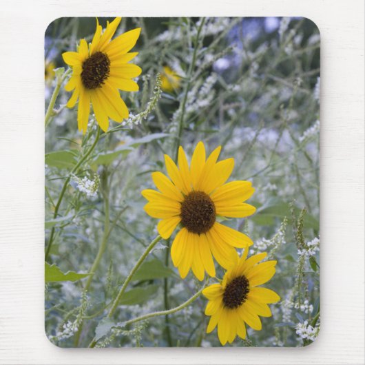 Fügen Sie Ihre eigenen Foto Diagonal Stack Sonnenb Mousepad (Vorne)