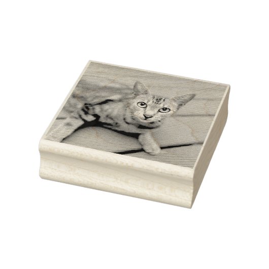 FÜGEN SIE IHRE FOTO CAT-PET-BRIEFMARKE CUSTOMIZIER GUMMISTEMPEL (Stempel)