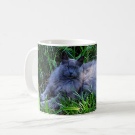 Fügen Sie Ihre Hauskatze Foto Kaffee Tasse