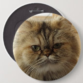 FÜGEN SIE IHRE KATZKATZKUNDENKUSTOM-GROSSE SCHALTF BUTTON (Vorne & Hinten)