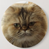 FÜGEN SIE IHRE KATZKATZKUNDENKUSTOM-GROSSE SCHALTF BUTTON (Vorderseite)