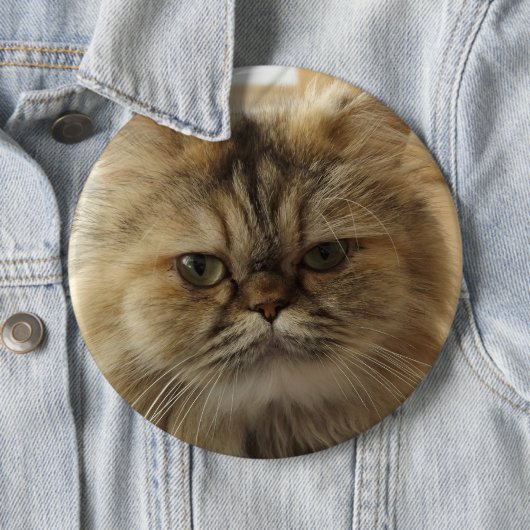 FÜGEN SIE IHRE KATZKATZKUNDENKUSTOM-GROSSE SCHALTF BUTTON (Beispiel)