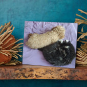 Fügen Sie Ihre niedlichen oder lustigen Begleiter- Fotoplatte (Seite)