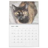 Fügen Sie Ihrem Begleiter Fotos zu jedem Monatskal Kalender (Mär 2026)