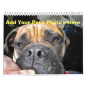 Fügen Sie Ihrem Begleiter Fotos zu jedem Monatskal Kalender (Titelbild)