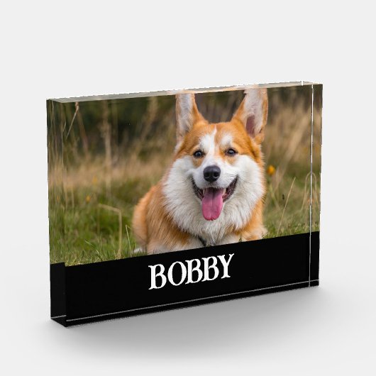 Fügen Sie Ihrem eigenen Hund Foto und Namen hinzu (Links)