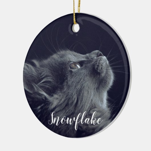 Fügen Sie Ihrem Foto mein Haustier Weihnachtsbaum Keramik Ornament (Links)