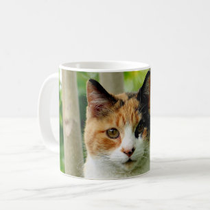 Fügen Sie Ihrem Kaffeebecher ein Foto Ihrer Katze Kaffeetasse