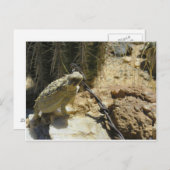 FÜGEN SIE IHREN EIGENEN TEXT AN Godzillas geposed Postkarte (Vorne/Hinten)