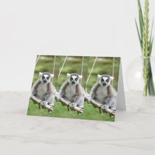 FÜGEN SIE IHREN EIGENEN TEXT HINZU Lemur Karte