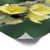 Fügen Sie Ihren Foto-Käfer auf Mullein-Blume-Rahme Poster (Ecke)