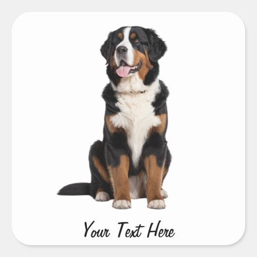 Fügen Sie Ihren Text Custom Bernese Mountain Dog h Quadratischer Aufkleber (Vorderseite)