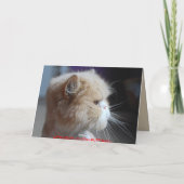 Fuggeddaboudit Persian Cat Spaß Karte (Rückseite)