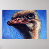 Fugley Ostrich Print Poster (Vorne)