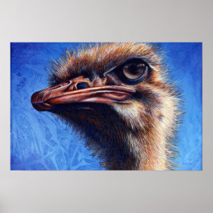 Fugley Ostrich Print Poster