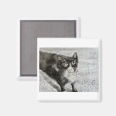 Fügt das Kätzchen auf den Magneten Magnet (Vorderseite/Rückseite)