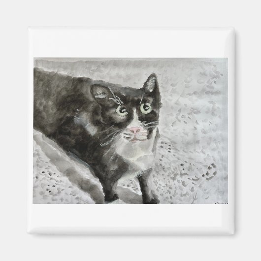 Fügt das Kätzchen auf den Magneten Magnet (Vorne)