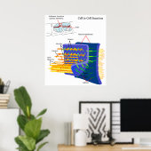 Fügt Junctions Protein Complexes Diagramm ein Poster (Heimbüro)