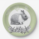 Fühl das Kaninchen. Bleistift zeichnend. Pappteller (Vorderseite)