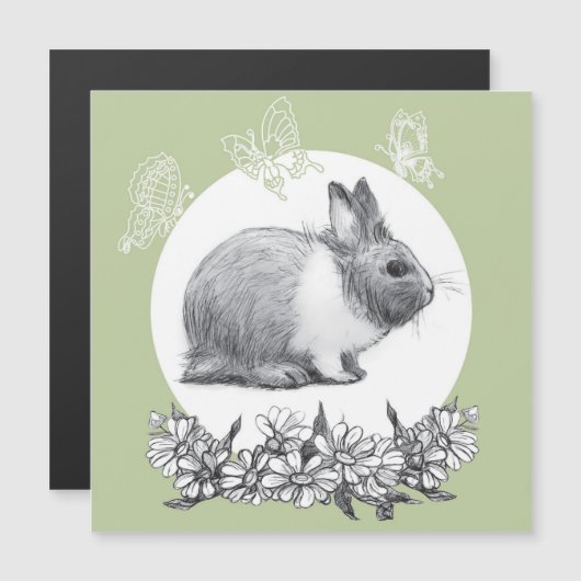 Fühl das Kaninchen. Zeichnend Stift Magnetkarte (Vorne/Hinten)