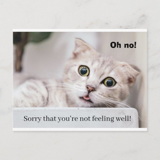 Fühl dich besser Kitty Postkarte (Vorderseite)
