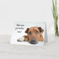 Fühlen Sie sich besser bald traurigen Hund gut Kar