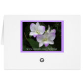 Fühlst du es auch? Karte (Rückseite Horizontal)