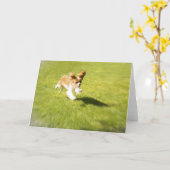 Führen Sie den Welpen-Run auf der Grußkarte aus Karte (Gelbe Blume)