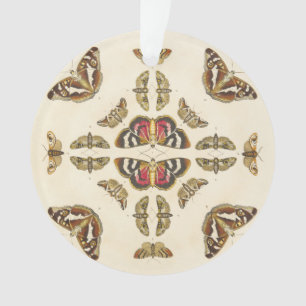 Führen Sie von Platte VI einzeln auf Ornament