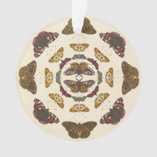 Führen Sie von Platte VII einzeln auf Ornament
