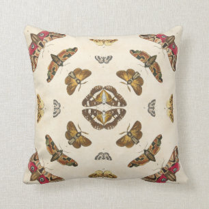 Führen Sie von Platte VIII einzeln auf Kissen