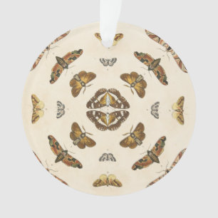 Führen Sie von Platte VIII einzeln auf Ornament