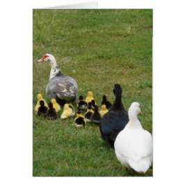 Führende Familienfilme in einer Linie