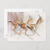 Führung der arabischen Gazellen 2010 Postkarte (Vorne/Hinten)