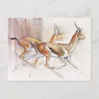 Führung der arabischen Gazellen 2010