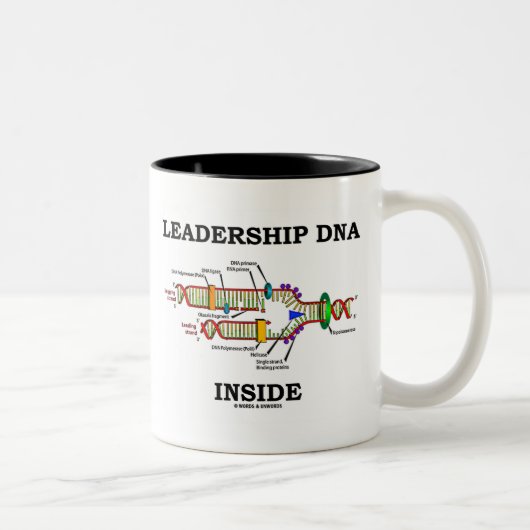 Führung der DNA innerhalb (DNA-Replikation) Zweifarbige Tasse (Rechts)