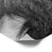 Führung Motivierend Lion Einzigartig Schwarz-weiß Poster (Ecke)