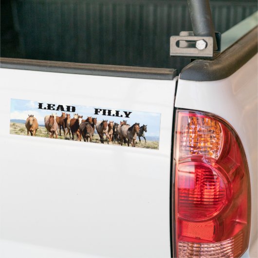 Führungfilly-Autoaufkleber Autoaufkleber (Auf Lkw)