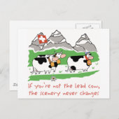 Führungs-Kuh-Postkarte Postkarte (Vorne/Hinten)