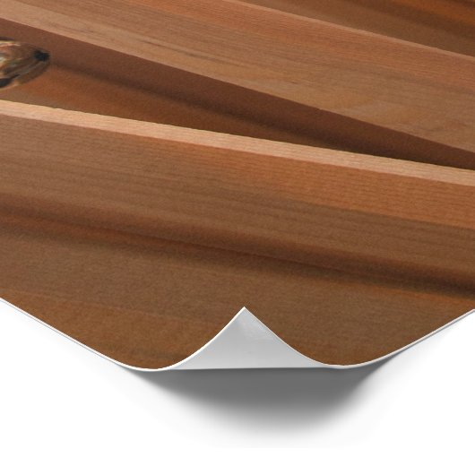 Fuji Climbing Sticks Poster (Ecke)