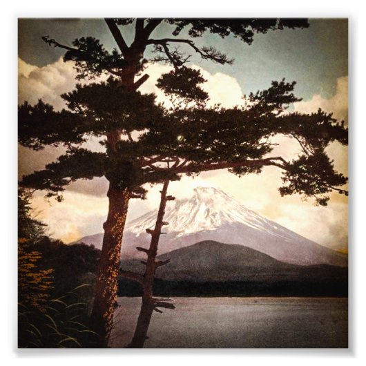 Fuji durch die Pines Vintages altes Japan Fotodruck (Vorne)